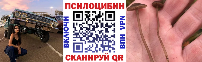 мега ссылка  Нелидово  Псилоцибиновые грибы GOLDEN TEACHER 
